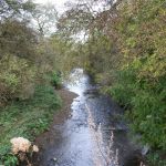 river-erewash-from-shipley-viaduct.jpg